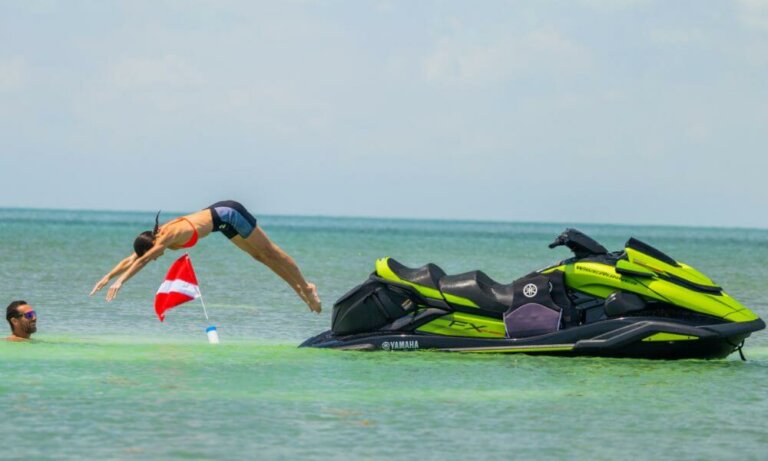 FX CRUISER SVHO